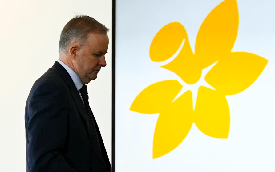 Prime Minister Anthony Albanese standing in front of the Cancer Council logo