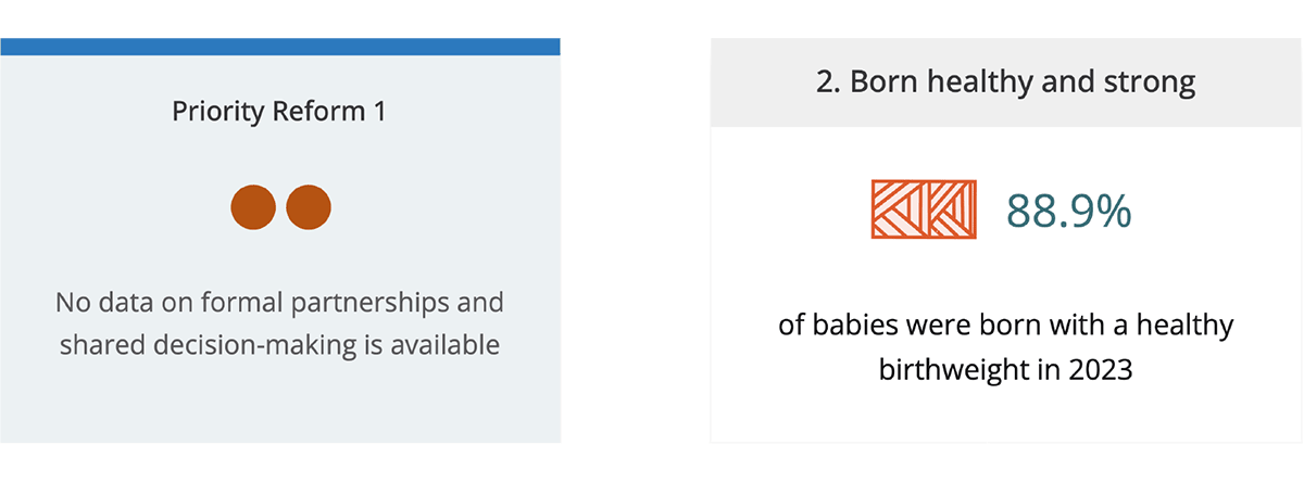 Dashboard cards: Priority Reform 1 - No data on formal partnerships and shared decision-making is available. Outcome area 2 - Born healthy and strong