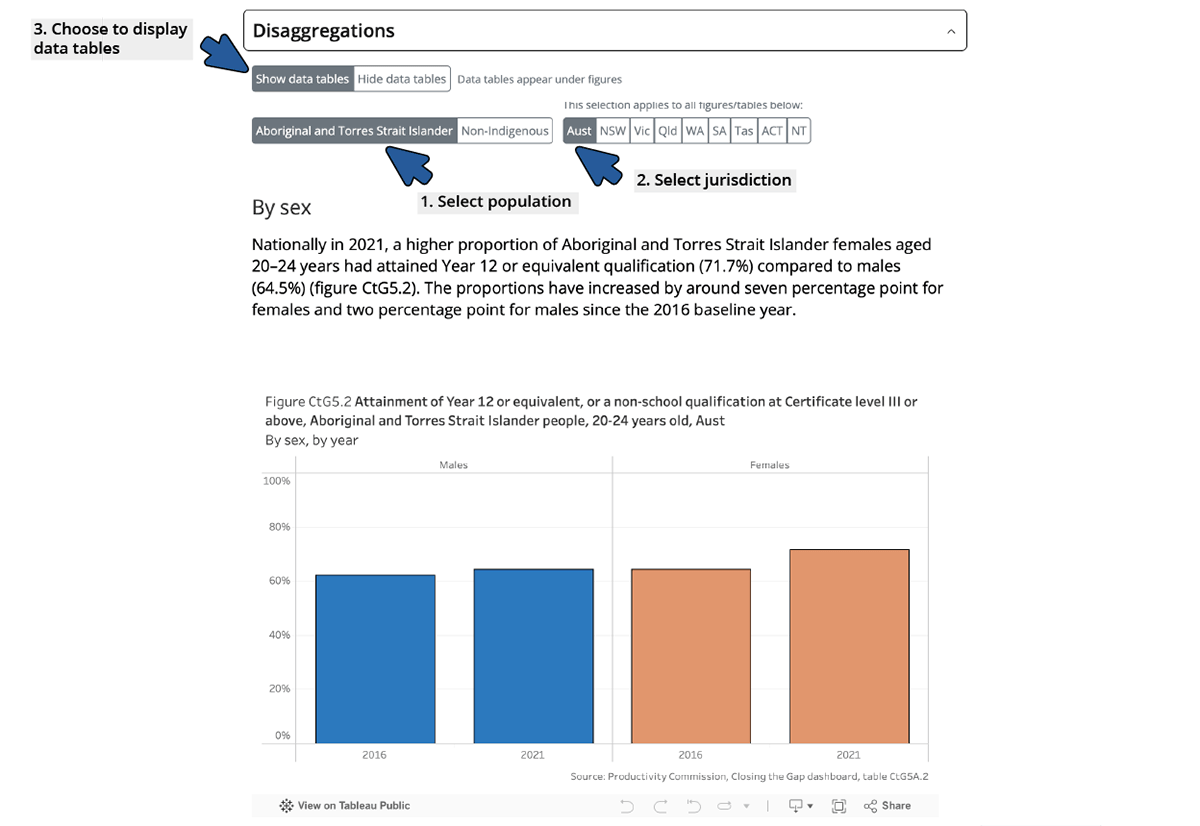 Disaggregation selection options, described in text above