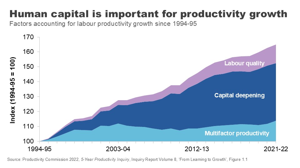 Human capital is important for productivity growth. Factors accounting for labour productivity growth since 1994-95